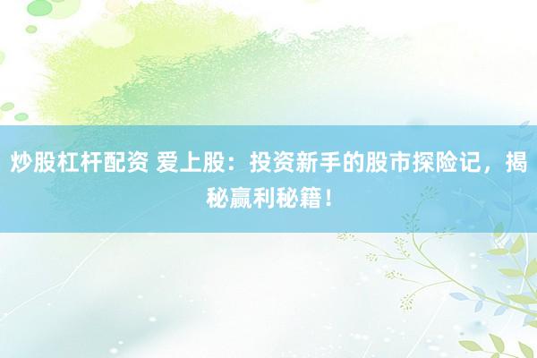 炒股杠杆配资 爱上股：投资新手的股市探险记，揭秘赢利秘籍！