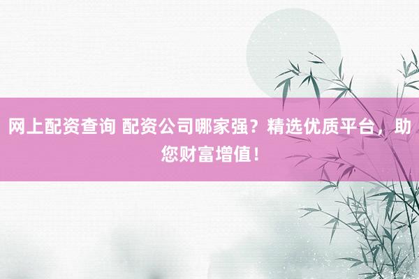 网上配资查询 配资公司哪家强？精选优质平台，助您财富增值！