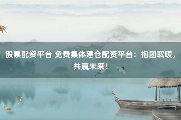 股票配资平台 免费集体建仓配资平台：抱团取暖，共赢未来！