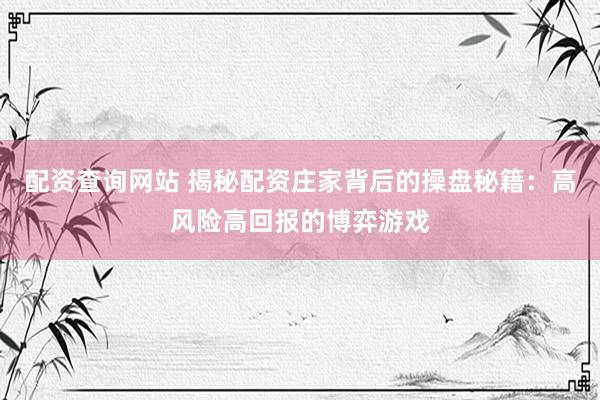 配资查询网站 揭秘配资庄家背后的操盘秘籍：高风险高回报的博弈游戏