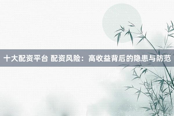 十大配资平台 配资风险：高收益背后的隐患与防范