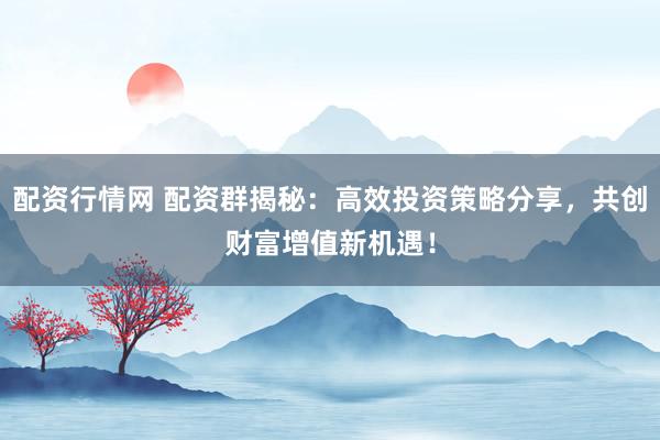 配资行情网 配资群揭秘：高效投资策略分享，共创财富增值新机遇！