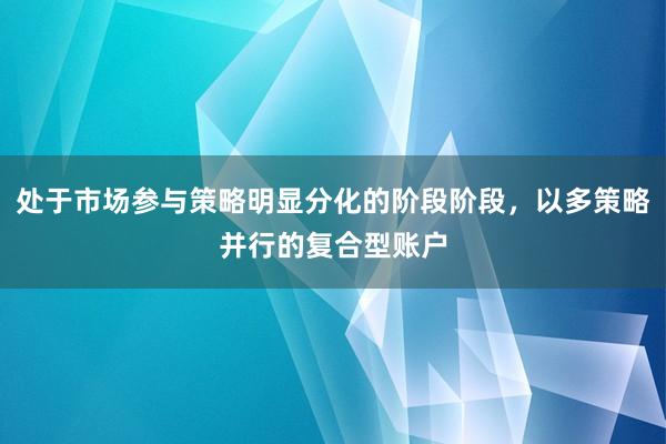 处于市场参与策略明显分化的阶段阶段，以多策略并行的复合型账户