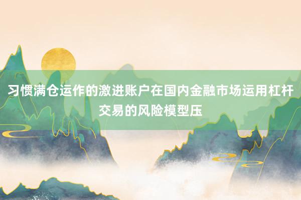 习惯满仓运作的激进账户在国内金融市场运用杠杆交易的风险模型压