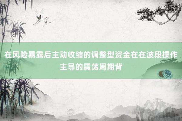 在风险暴露后主动收缩的调整型资金在在波段操作主导的震荡周期背