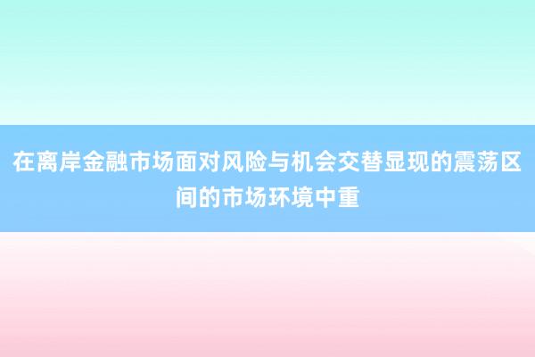 在离岸金融市场面对风险与机会交替显现的震荡区间的市场环境中重